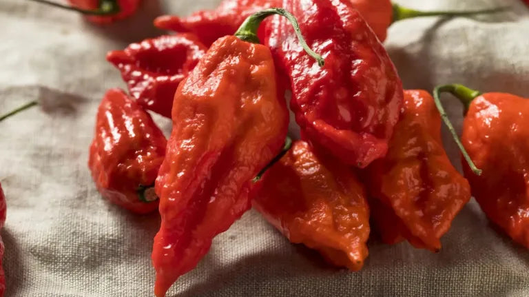 The Best Peppers