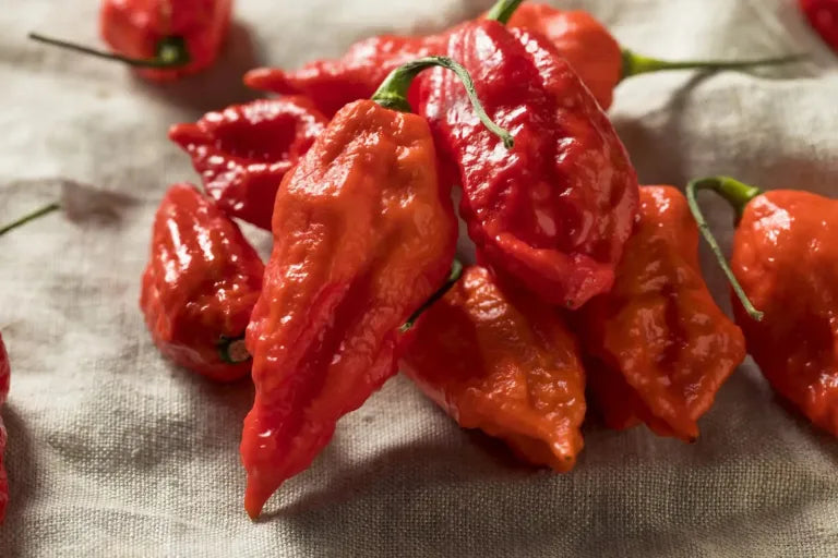 The Best Peppers